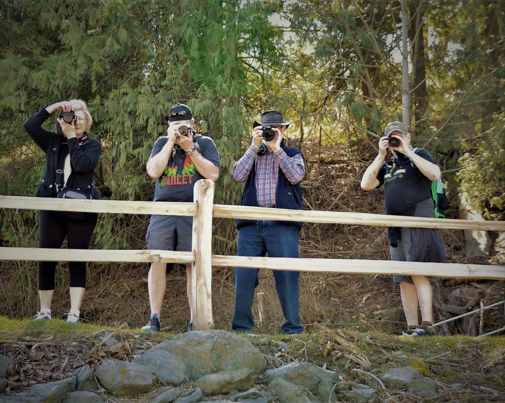 creative photography